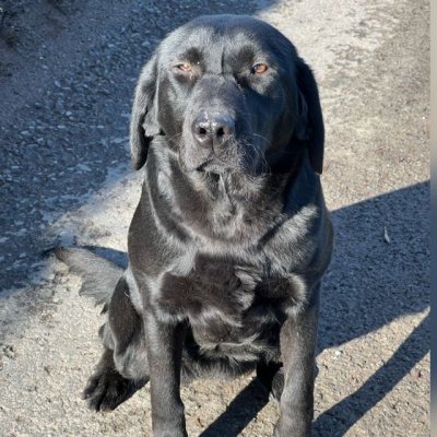 WhatsApp Image 2024-12-16 at 11.47.49