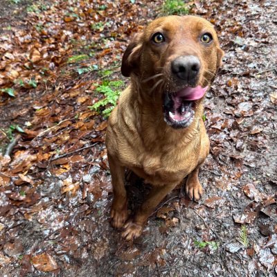 IMG_2026-02-08-113427