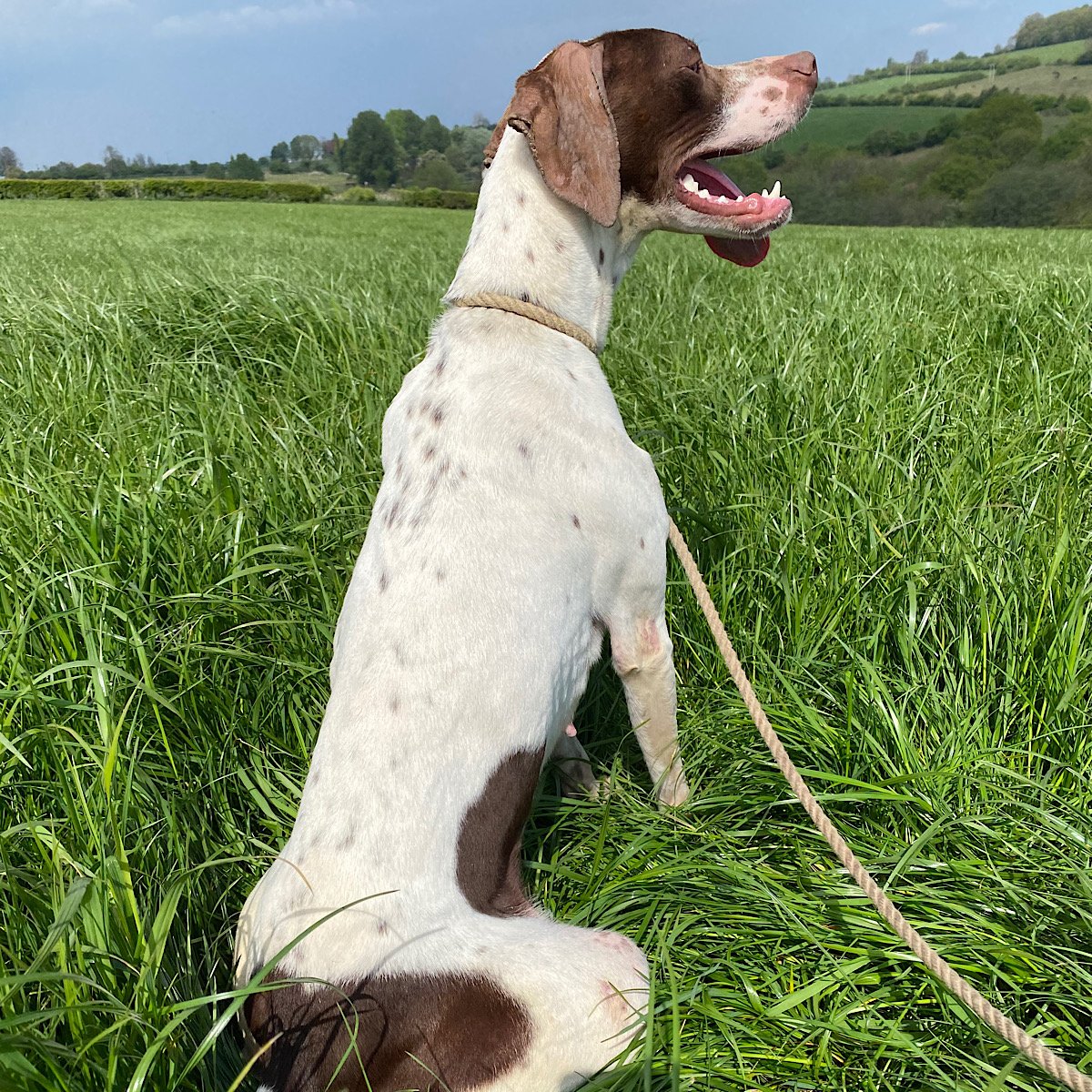 IMG_27Apr2020at182031