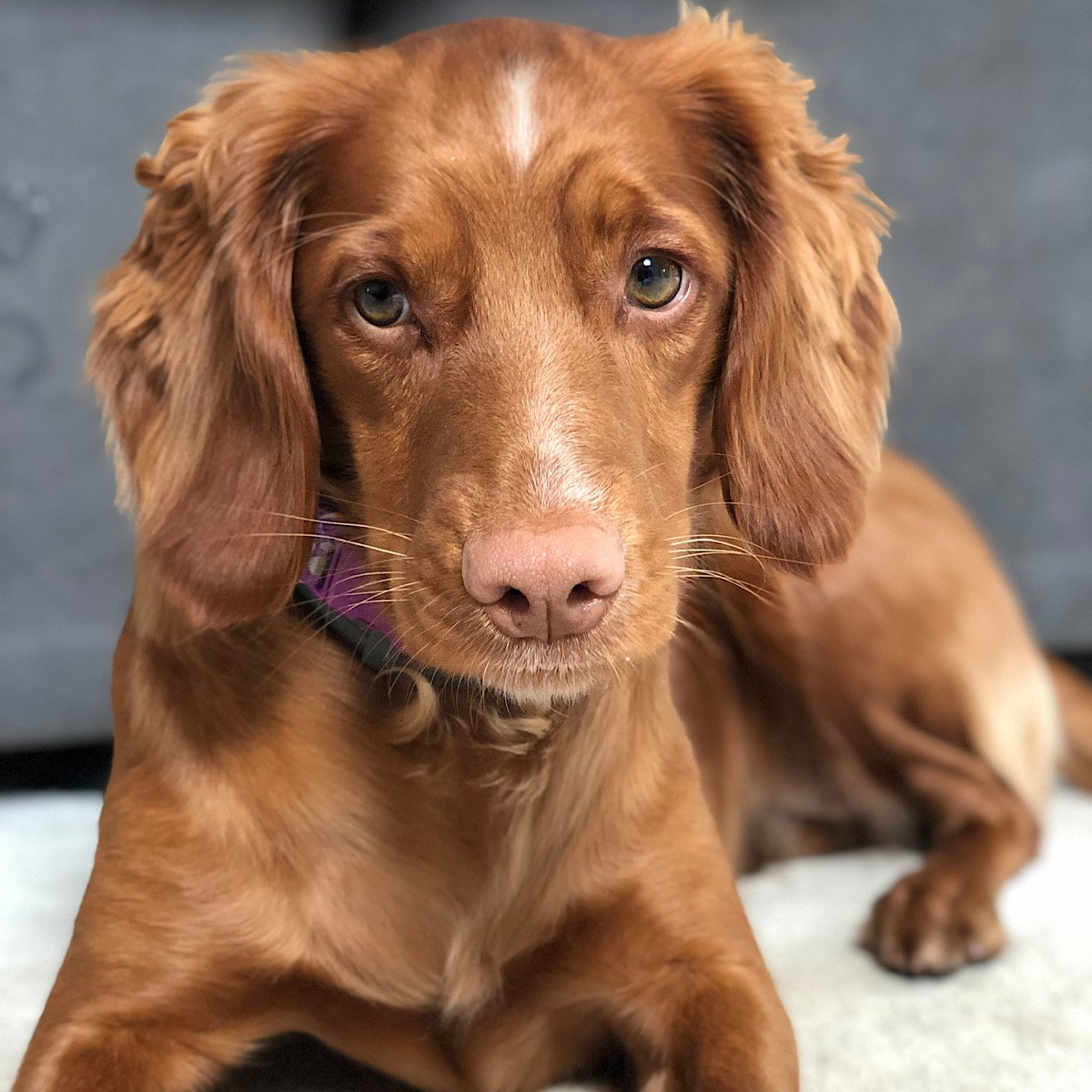 IMG_28Apr2020at200214