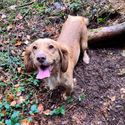 IMG_2026-02-08-113218