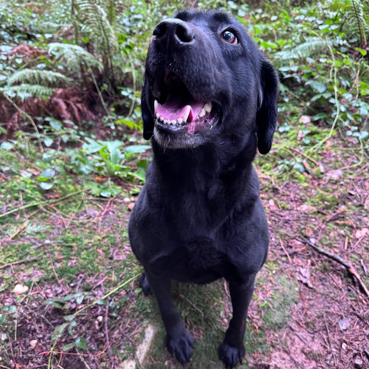 IMG_2026-02-08-114453