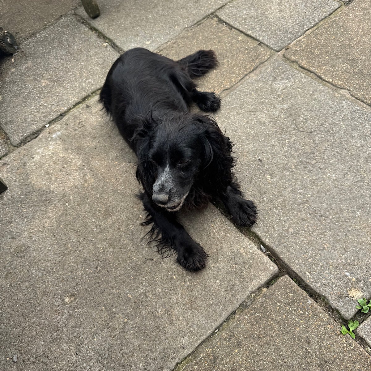 IMG_2026-02-08-113815