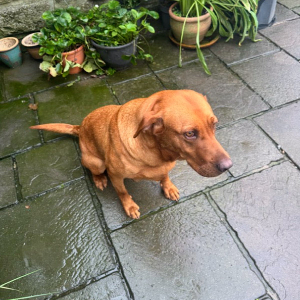 IMG_2026-02-04-155157