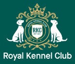 two dogs l;ooking at a golden shield